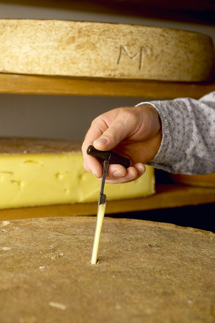 Käseherstellung: Reifegrad prüfen