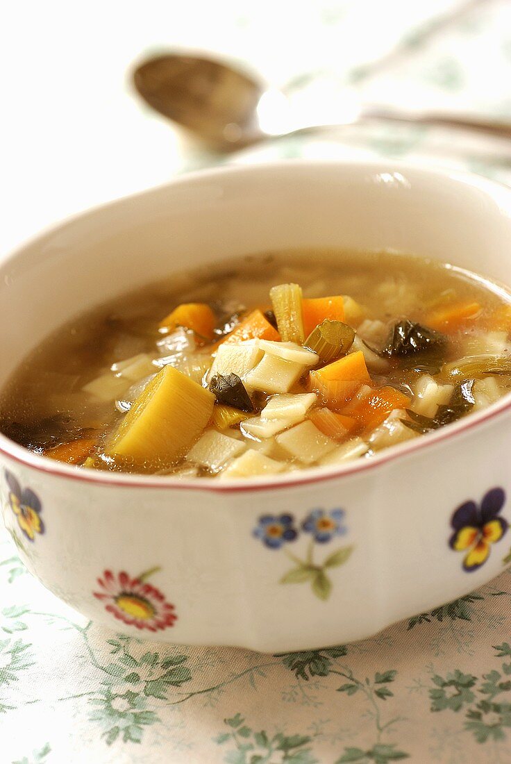 Vegetable soup in a soup bowl