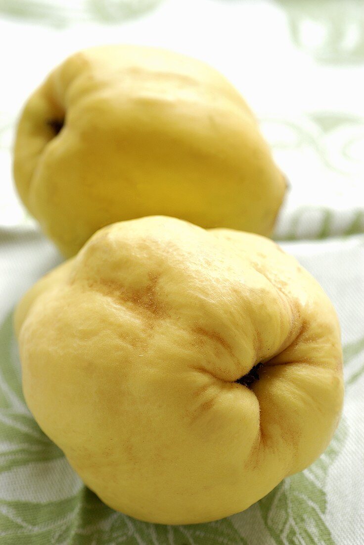 Two quinces