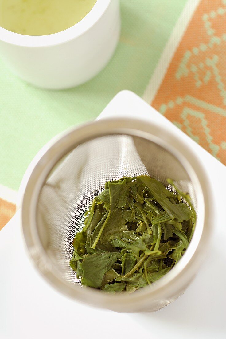 Used green tea leaves in strainer