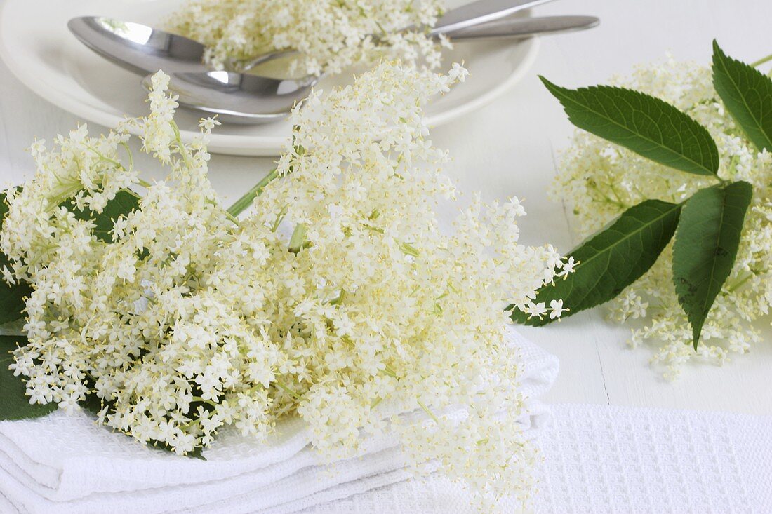 Elderflowers with plate and spoons in background