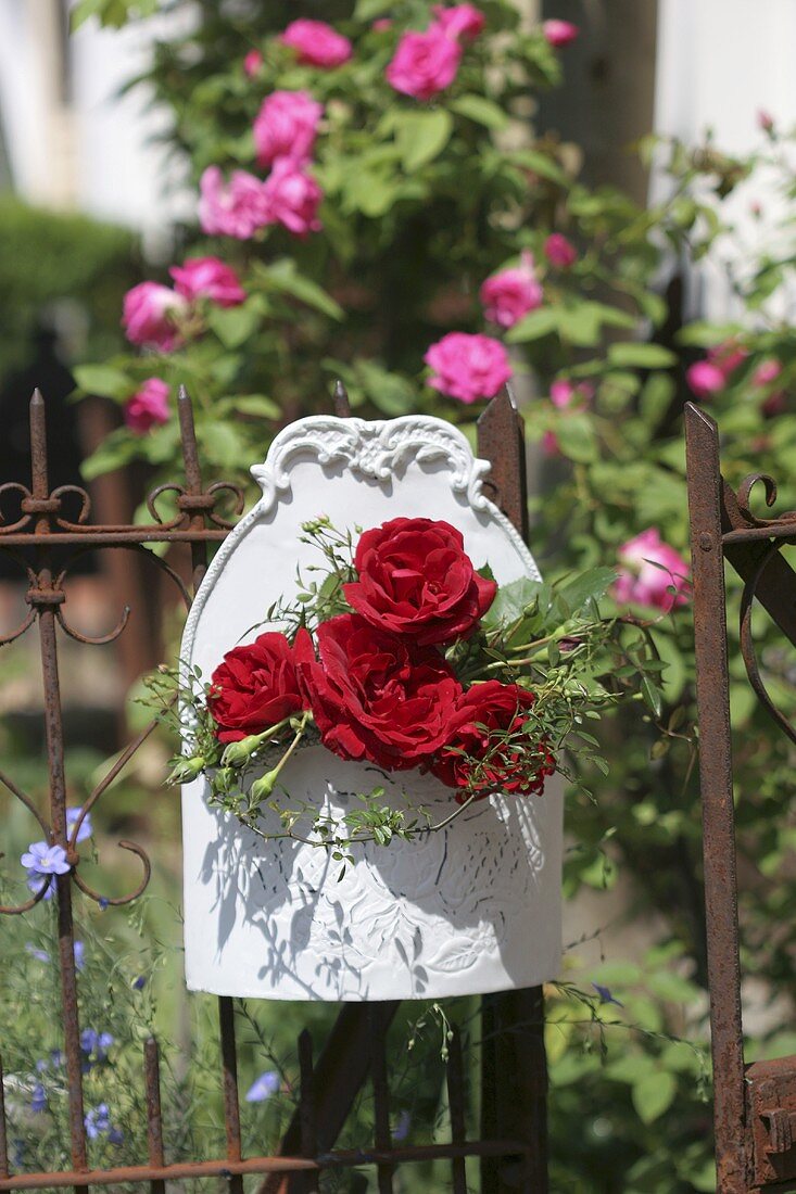 Rosen in einer Wandvase am Zaun