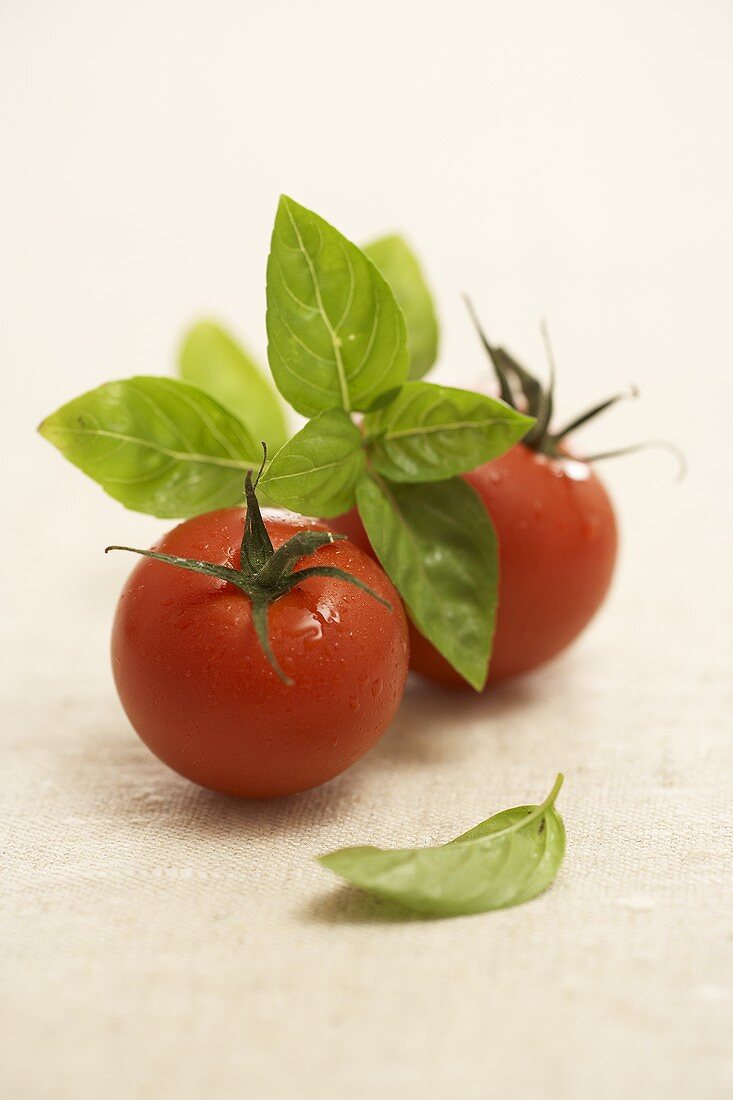 Two tomatoes with basil