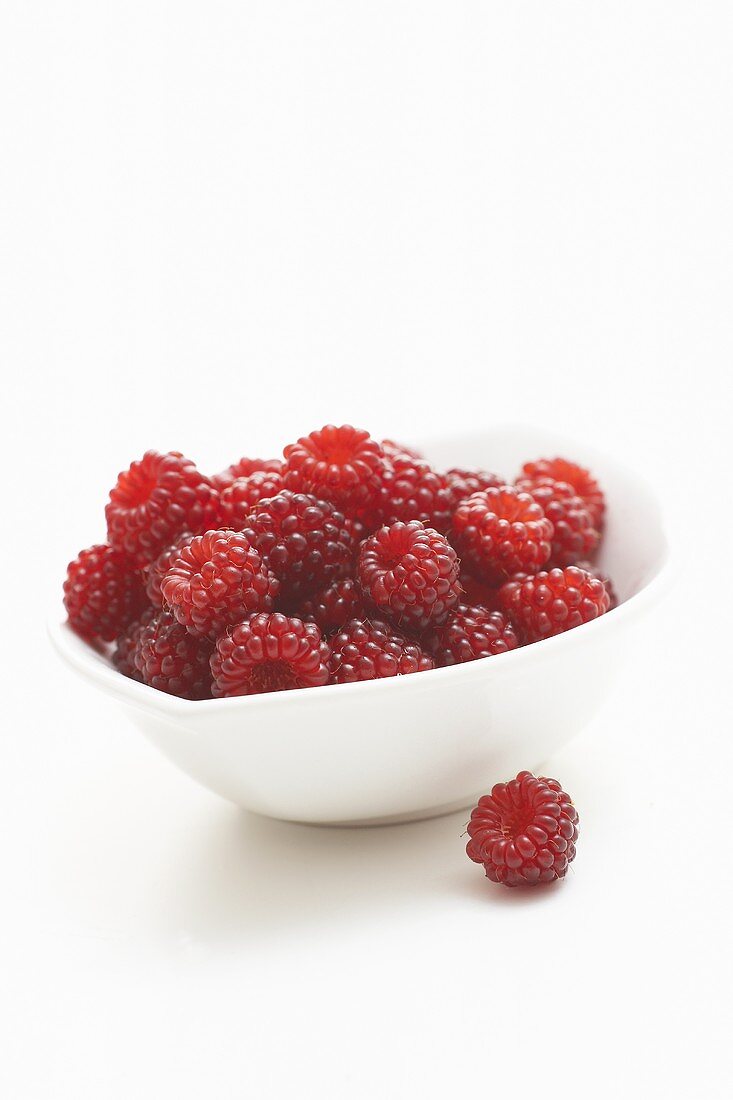 Himbeeren in einem weissen Schälchen