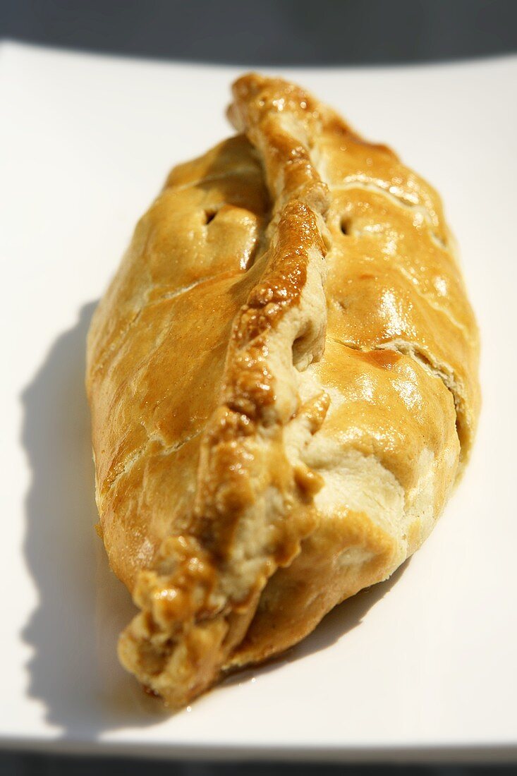 Cornish pasty (pastry case with meat and potato filling)