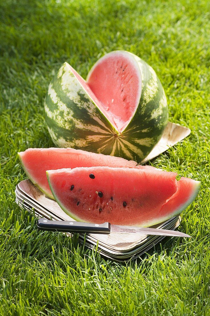 A watermelon with slices cut for a picnic