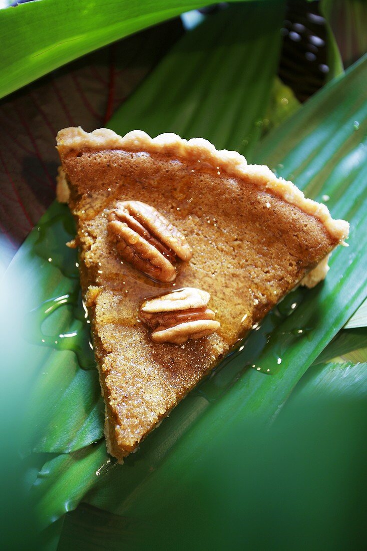 Ein Stück Pumpkin Tart