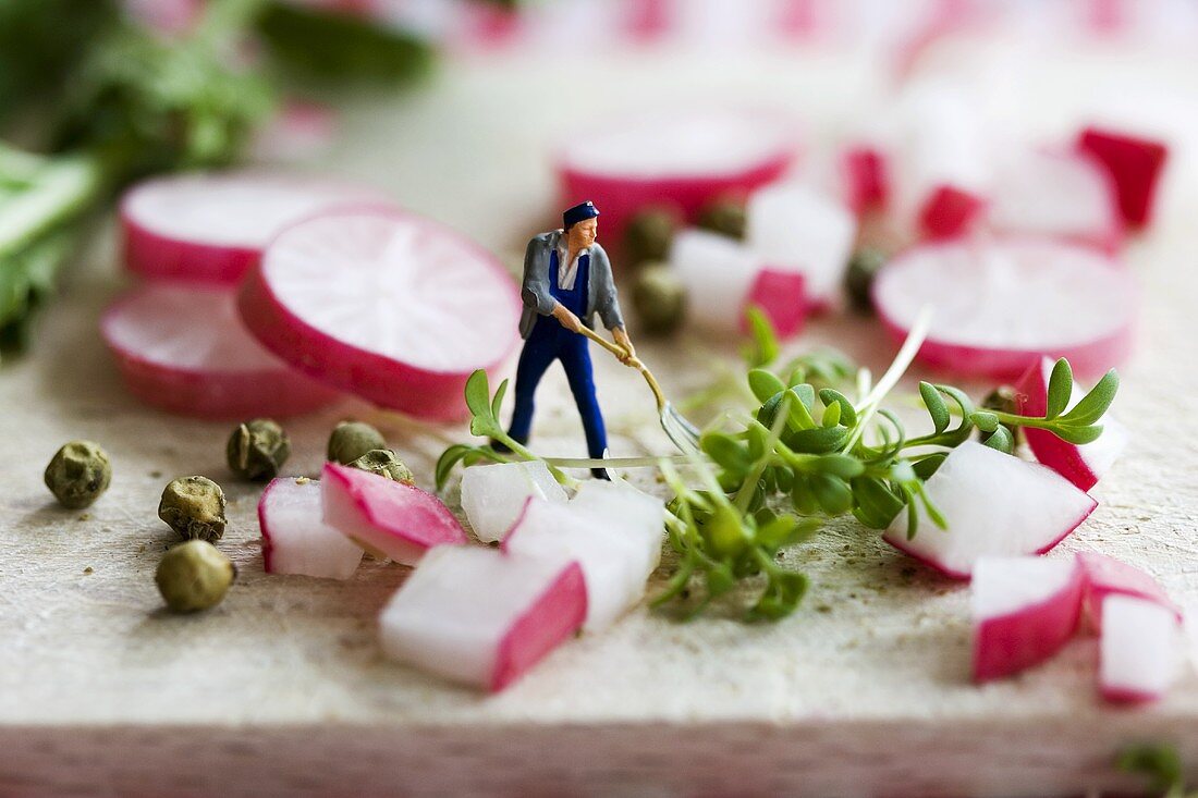 Little toy man among pieces of radish and cress