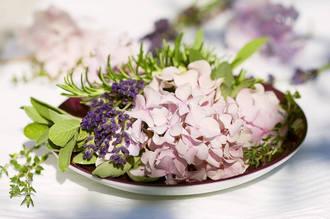 Hydrangeas and herbs on a plate