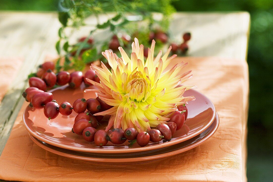 Rose hip wreaths with dahlia on a plate