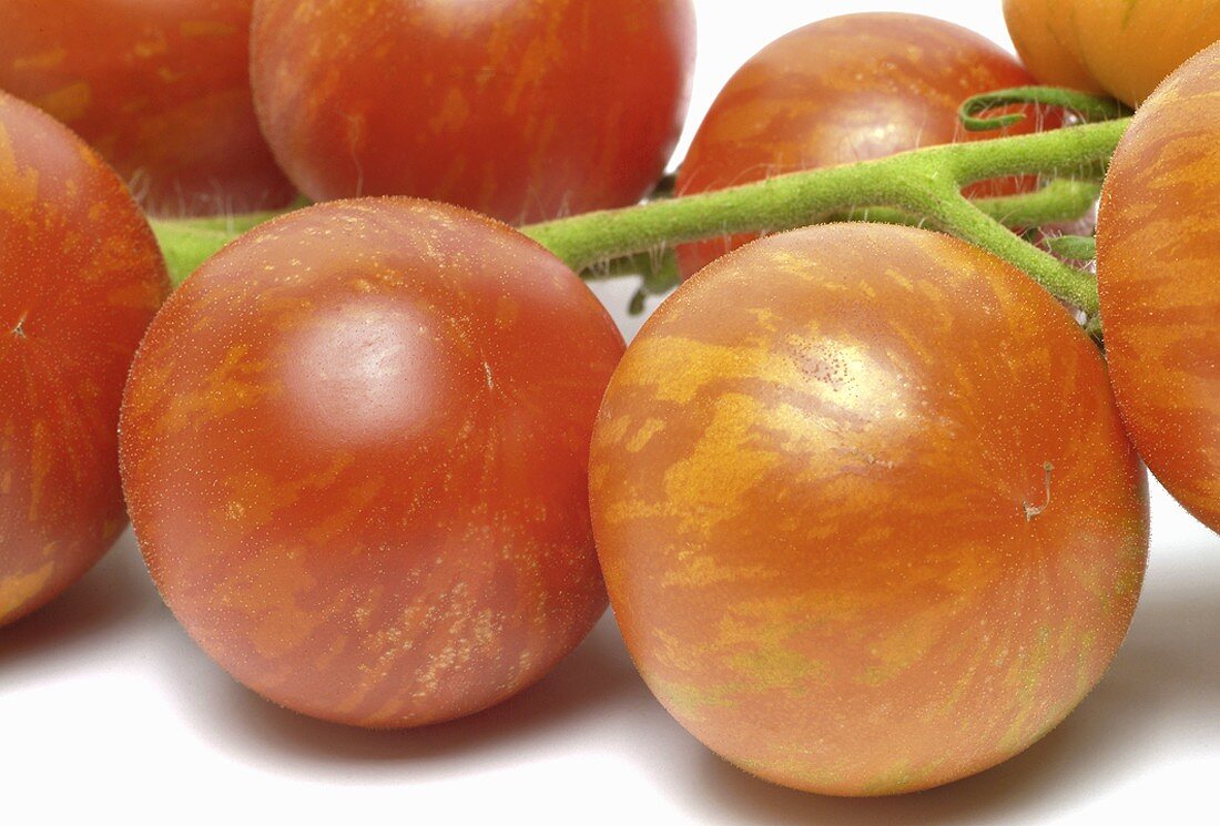 Tigerella tomatoes