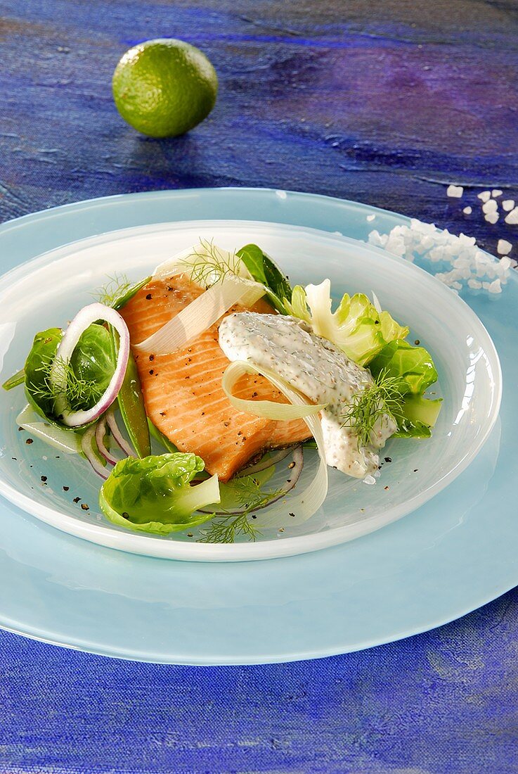 Salmon trout fillet