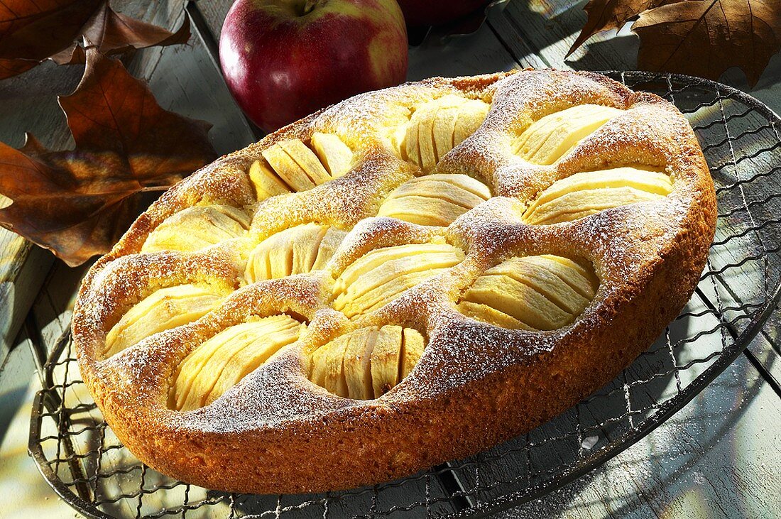 Apple cake with icing sugar