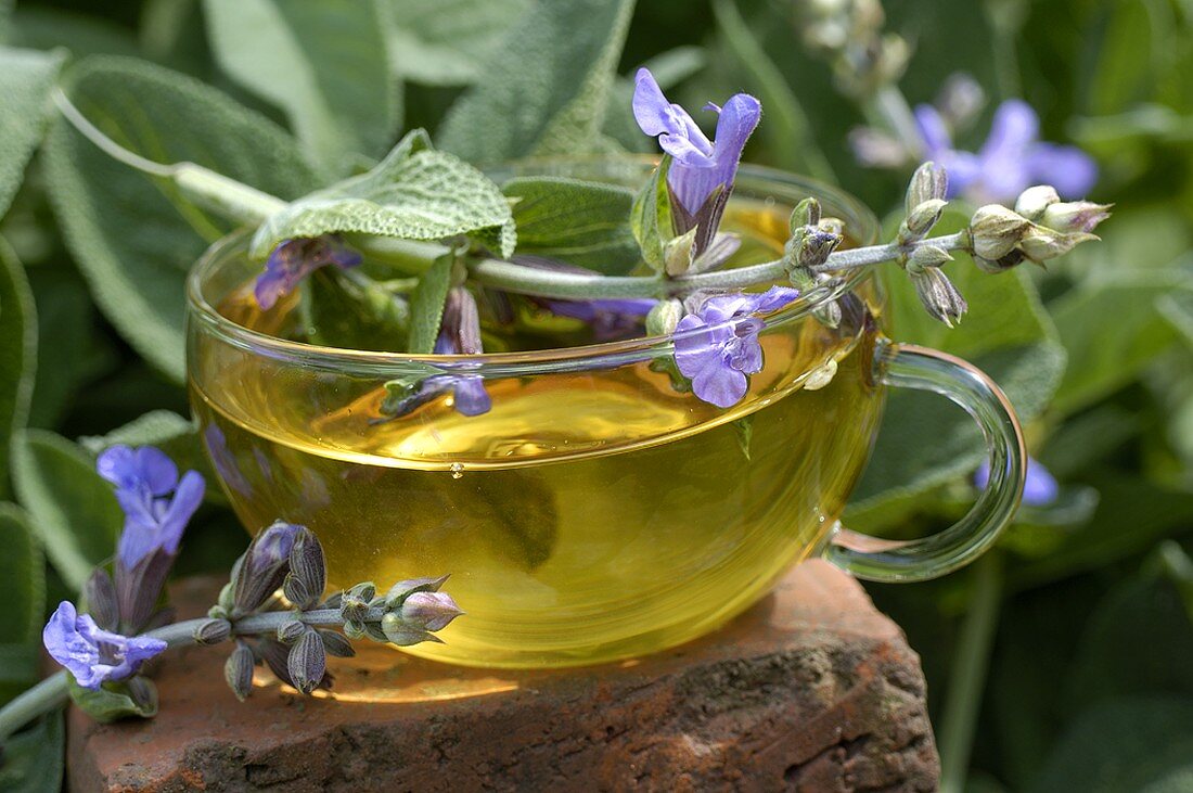 Sage tea in a glass cup