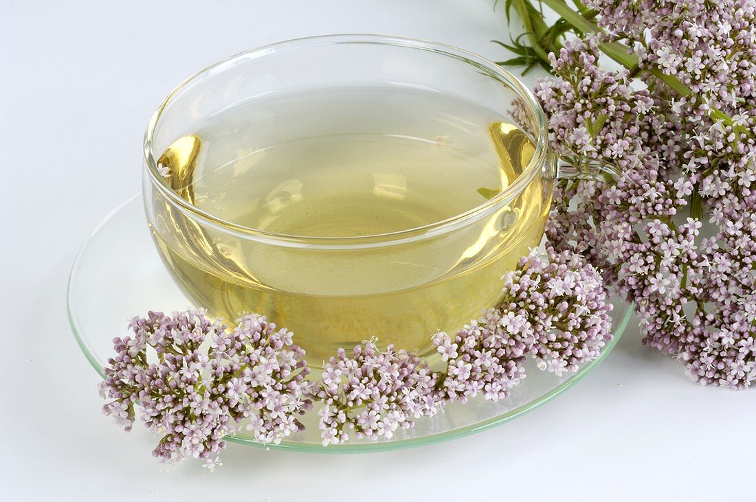 Valerian tea in glass cup with flowers