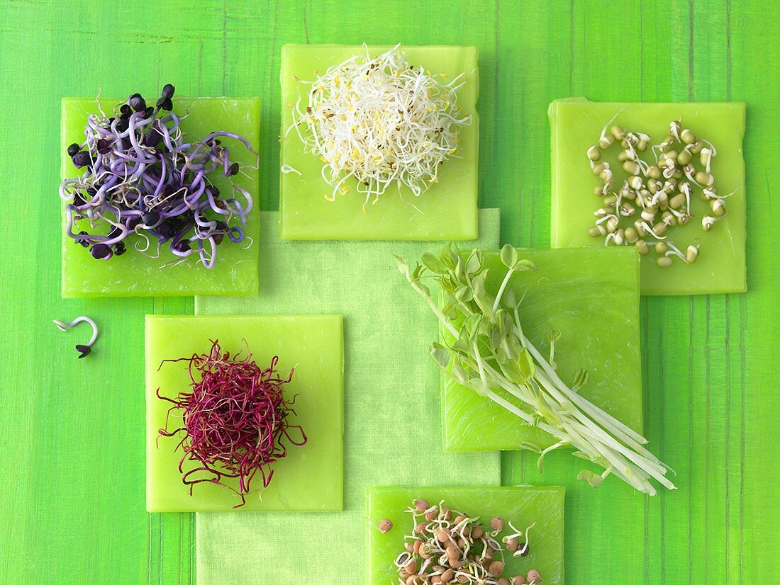 Various types of sprouts and sprouted seeds