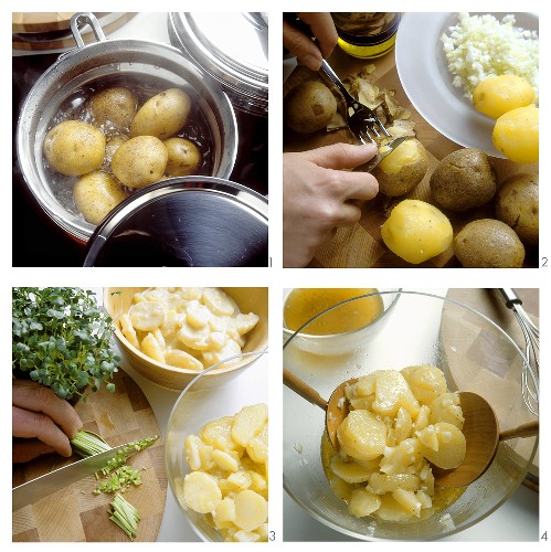 Preparing potato salad