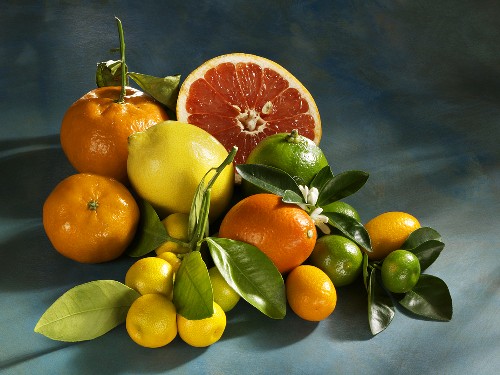 Citruses