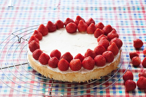 Strawberry cake being made: sponge base being topped with strawberries