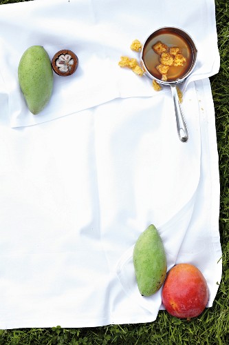 Zutaten für Mangodessert auf Stofftuch im Gras