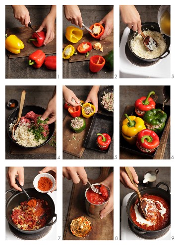 Making peppers stuffed with minced meat and rice, with tomato sauce