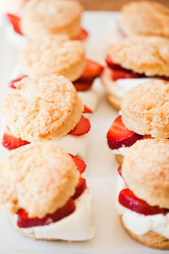 Strawberry Shortcakes in zwei Reihen