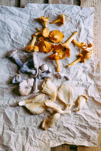 A variety of mushrooms on a crumpled sheet of paper