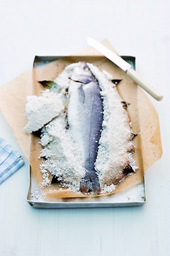 Sea bass with a salt crust