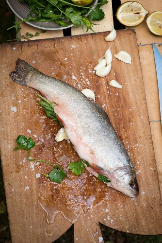 Char being prepared for grilling: fish being filled with herbs and garlic