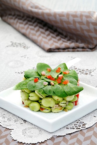 Broad bean and lambs lettuce salad