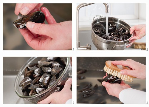 Cleaning mussels