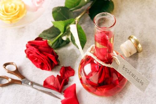 Rosenessig in der Flasche herstellen