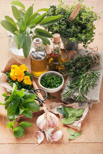 An arrangement of fresh herbs, garlic and oil