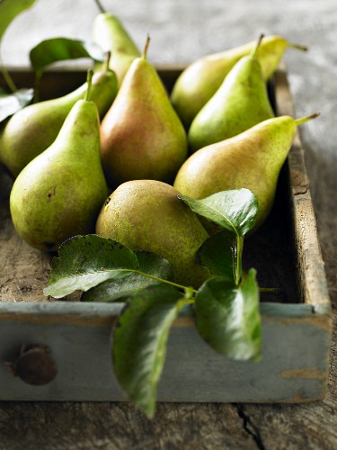 Pears in a drawer