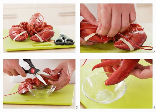 Tips of lobster claws being cut off