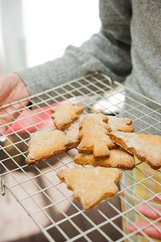 Fresh Christmas tree biscuits