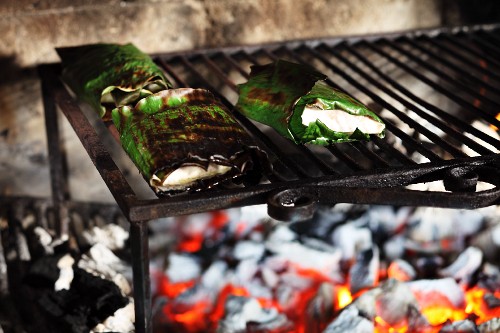 Sturgeon fillets wrapped in banana leaves on a wood-fired barbecue