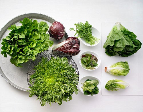 36++ Salatsorten bilder und namen , Verschiedene Salatsorten Bilder kaufen 11118006 StockFood