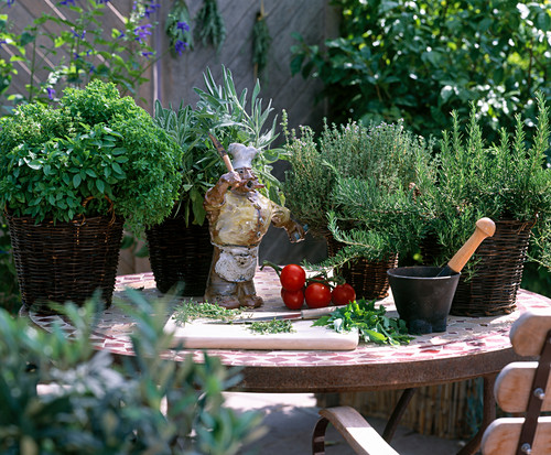 Ton Bilder Friedrich Strauss Gartenbildagentur