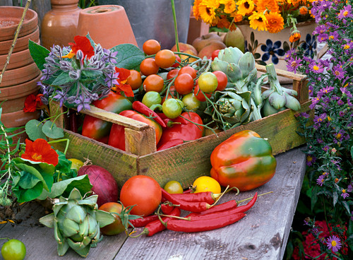 Fruit box with lycopersicon (tomato), cynara scolymus