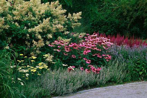 PIET OUDOLF PLANTING at DREAMPARK, … - Bild kaufen - 12162628 Friedrich Strauss Gartenbildagentur on Piet Oudolf Planting
 id=49148