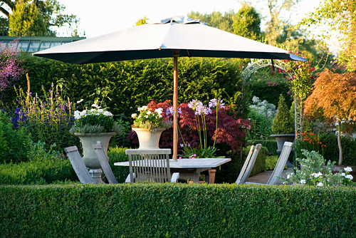 Sonnenschirm Bilder Friedrich Strauss Gartenbildagentur