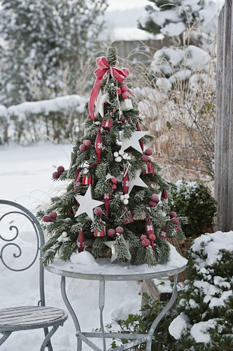 Tannenbaum Bilder GartenFotos kaufen Gartenbildagentur Friedrich Strauss