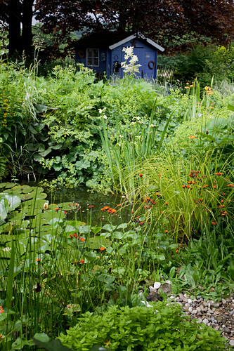 Uferbepflanzung Bilder GartenFotos kaufen Gartenbildagentur