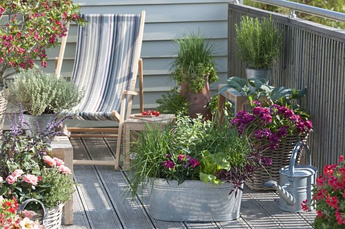 Liegestuhl Bilder Friedrich Strauss Gartenbildagentur