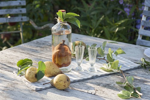 Birne für Birnenschnaps in Flasche … Bild kaufen