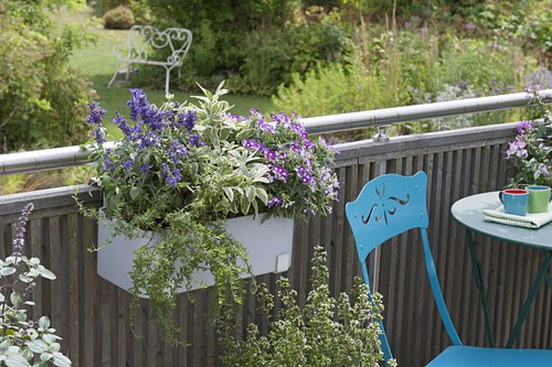 Kunststoff Bilder Friedrich Strauss Gartenbildagentur