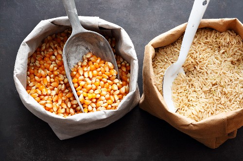 Mais und Reis für glutenfreies Backen – Bilder kaufen – 12295870 StockFood