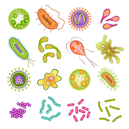 Microbe Photos Science Photo Library