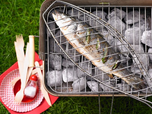 Bass on a charcoal barbecue